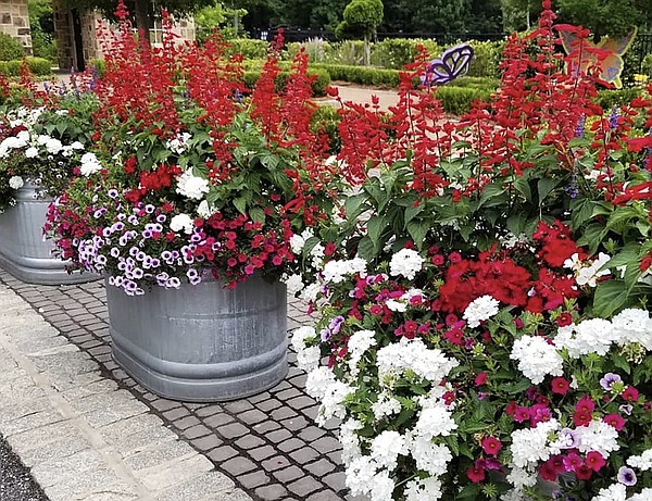 THE GARDEN GUY: 1,340 reasons to put the Supers together - Vimarsana News