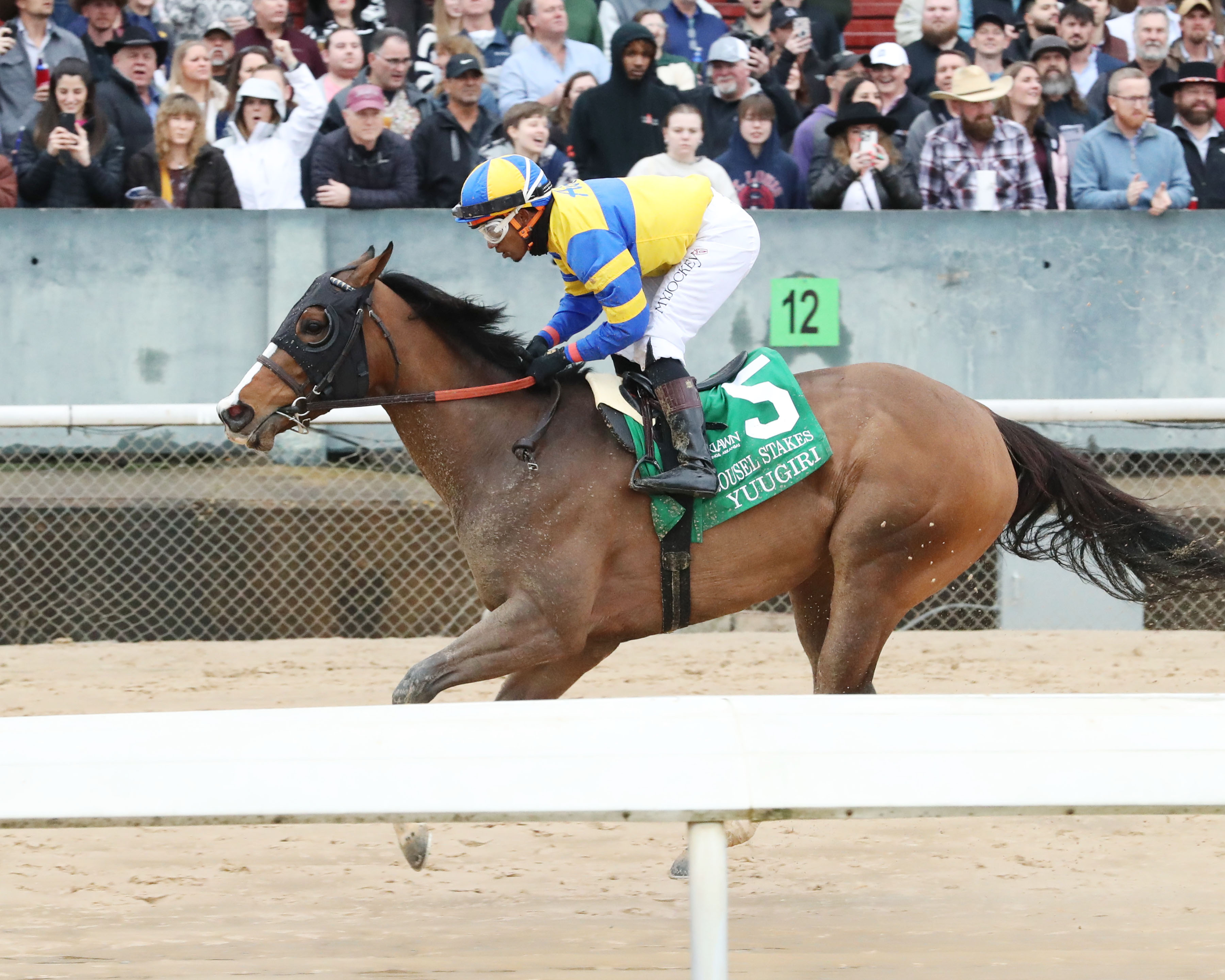 Fantasy winner spins Carousel; 'Birdie' second - Vimarsana News