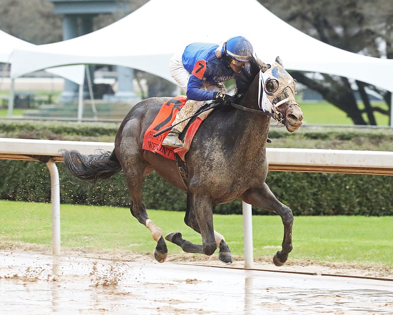 Wet Paint, under Flavien Prat, wins the Grade 3 $300,000 Honeybee Stakes Saturday at Oaklawn. - Photo courtesy of Coady Photography