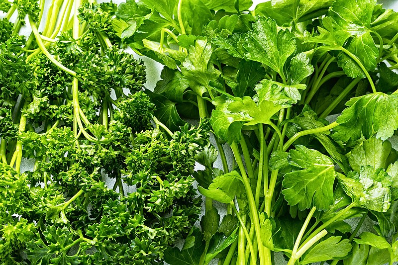 Curly and Italian parsley. (Photo for The Washington Post by Scott Suchman)