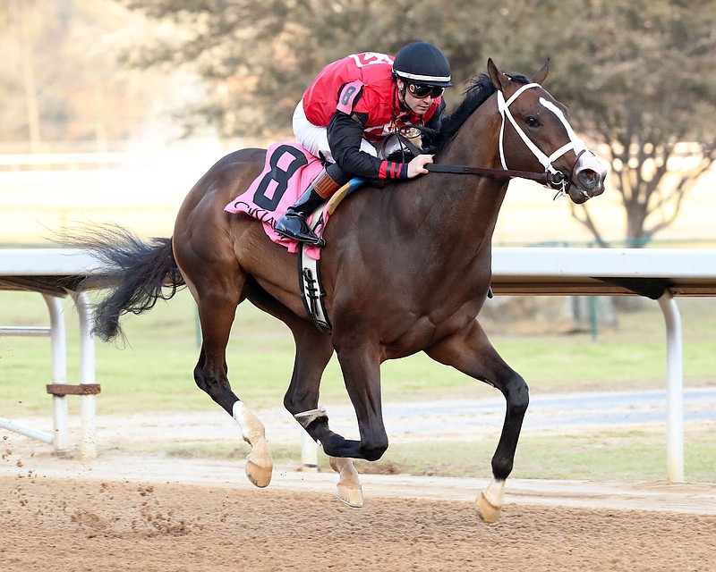 Victory Formation, under Flavien Pratt, wins the Smarty Jones Stakes Jan. 1 at Oaklawn. - Photo courtesy of Coady Photography