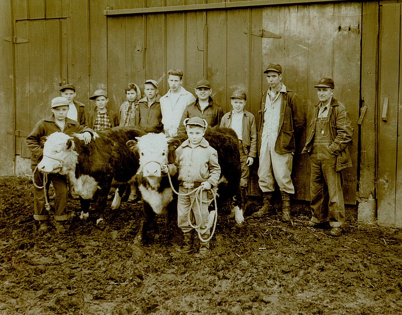 Photo courtesy of the Kingdom of Callaway Historical Society
Pictured: Hams Prairie Handy Helper 4-H Beef project meeting - Irl Brooks & Wayne Brooks holding calves. From left to right: Wesley Saling, Ronnie Miller, Betty Haymart, Kenneth Gibbs, Charles Saling, Billy Williams, Dennis Miller - Leaders: Amos Haymaet and Garrett Brooks