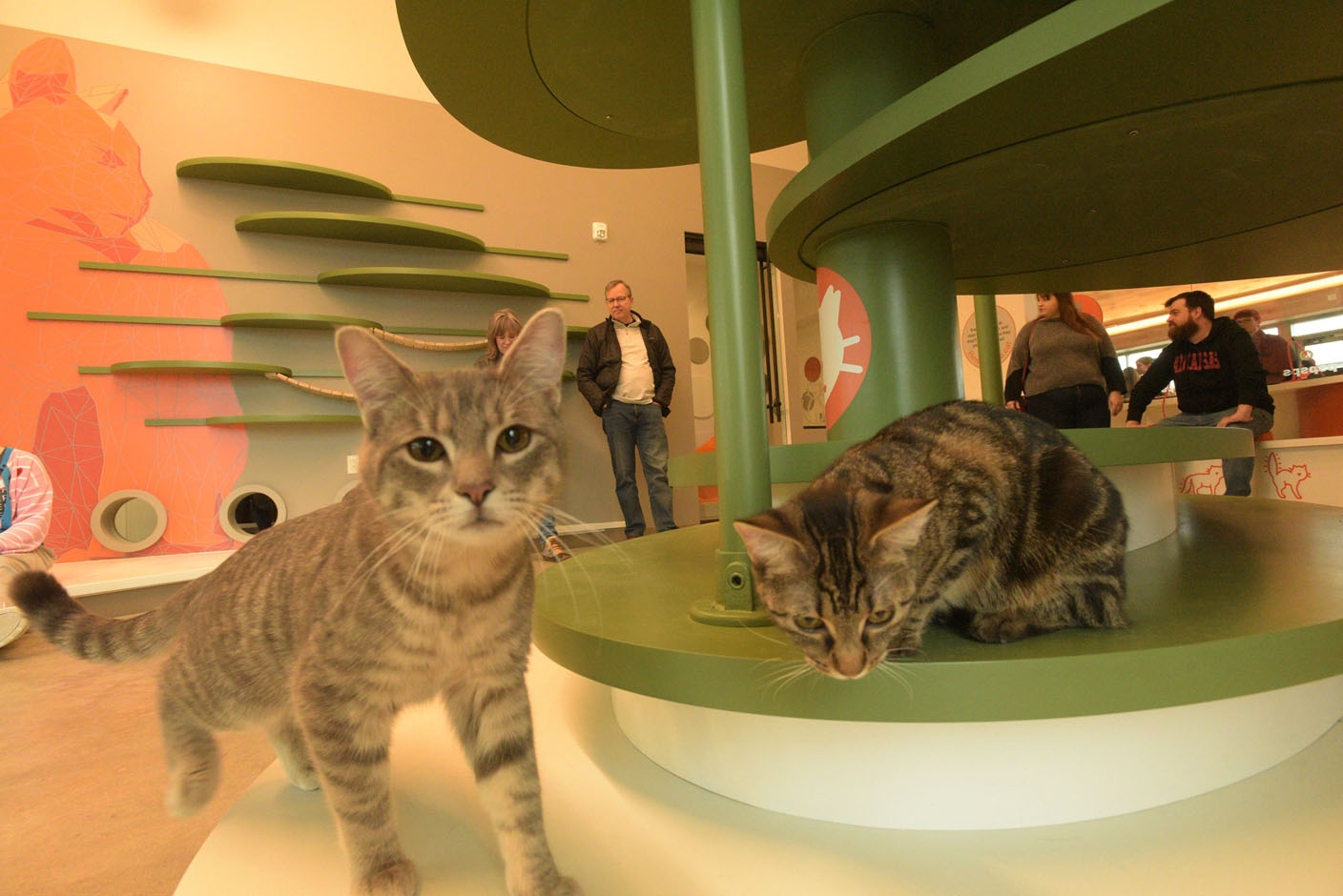 Best Friends Pet Resource Center opens Northwest Arkansas location