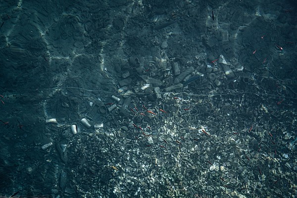 Oceans' plastic put at 2.4 million tons - Vimarsana News