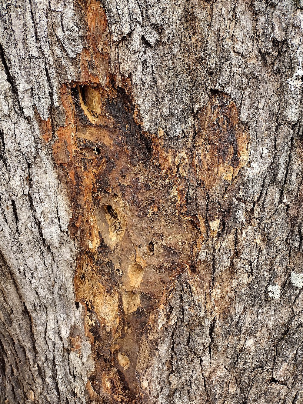 Photo detail