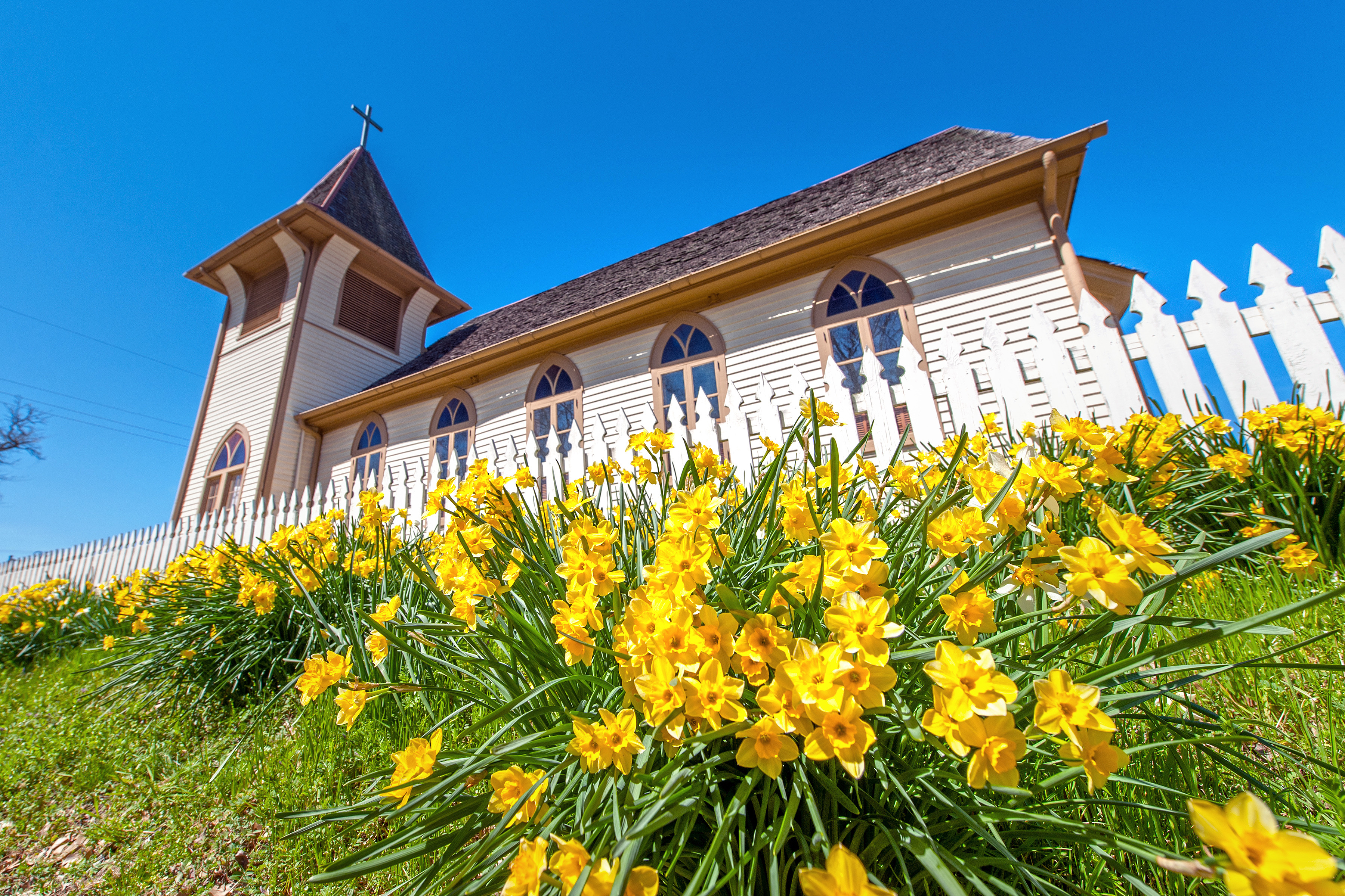 Fifty-fifth annual Jonquil Festival set for Friday through Sunday at Historic Washington State Park - Vimarsana News