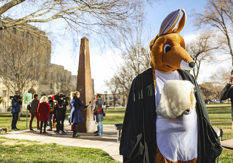 A women's march group member dons a kangaroo mask and judicial robe Wednesday, March 15, 2023, in Amarillo, Texas. A federal judge in Texas appointed by former President Donald Trump is considering a request by a Christian conservative group to overturn the Food and Drug Administration’s more than 2-decade-old approval of the abortion pill mifepristone. (AP Photo/David Erickson)