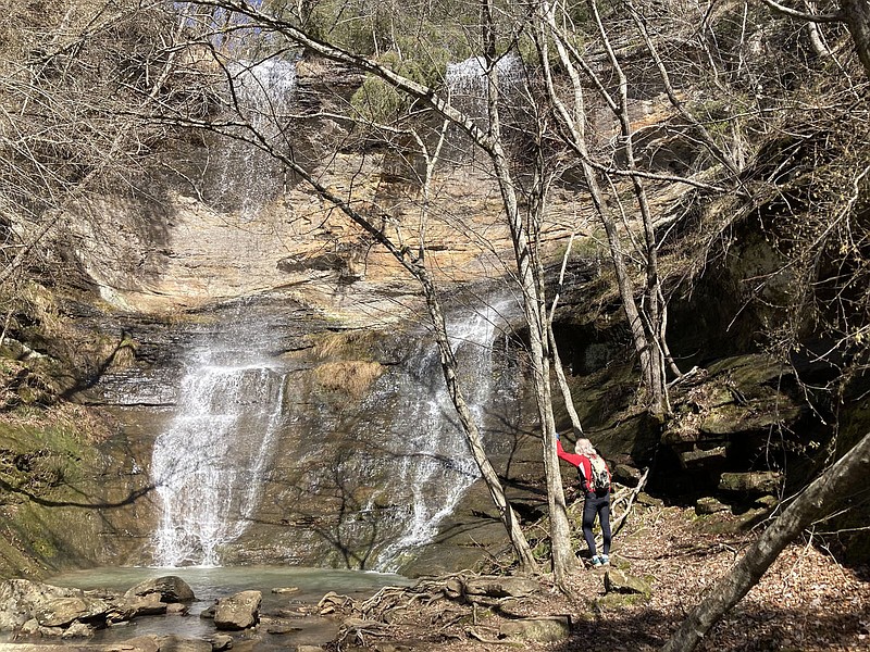 Tom Mowry admires High Bank Twin Falls on March 5 2023 along the Mulberry River Road Scenic Byway. The waterfall is a short hike off the highway.
(NWA Democrat-Gazette/Flip Putthoff)