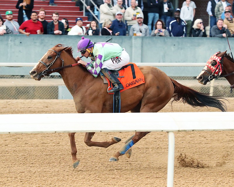 Tejano Twist races Jan. 6 at Oaklawn. Tejano Twist is the favorite in today's Grade 3 $200,000 Whitmore Stakes. - Photo courtesy of Coady Photography