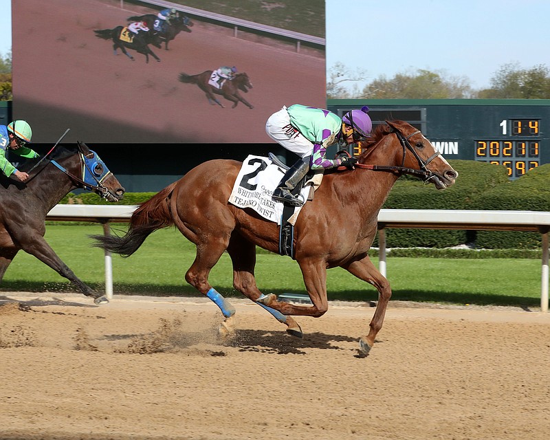 Tejano Twist, under Francisco Arrieta, wins the Grade 3 $200,000 Whitmore Stakes Saturday at Oaklawn. - Photo courtesy of Coady Photography