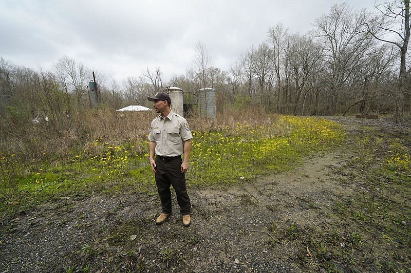 Jimmy Laurent, regional energy coordinator for the U.S. Fish and Wildlife Service, points out damage to a containment levee caused by wild hogs, at the B-5 orphan well site in the Atchafalaya National Wildlife Refuge in Lottie, La., Thursday, Feb. 16, 2023. (AP Photo/Gerald Herbert)
