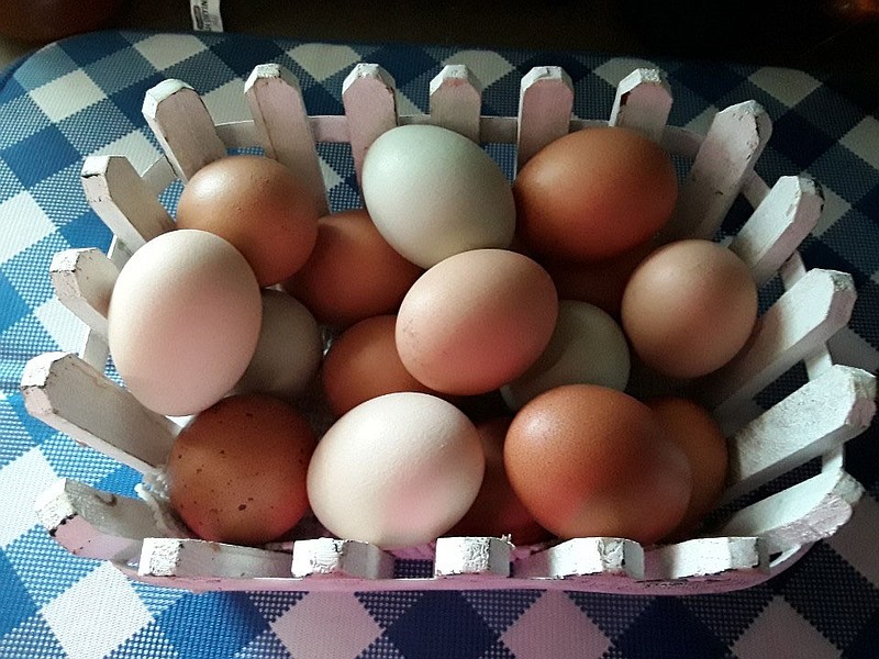 Submitted photo Rosie Clark, along with her daughters Robin Lee and Amanda Clark, went into an egg-selling business venture together as a way to support women-owned businesses. The trio has experienced an increase in their customer base: “We are staying just ahead of demand for now,” Rosie Clark said.