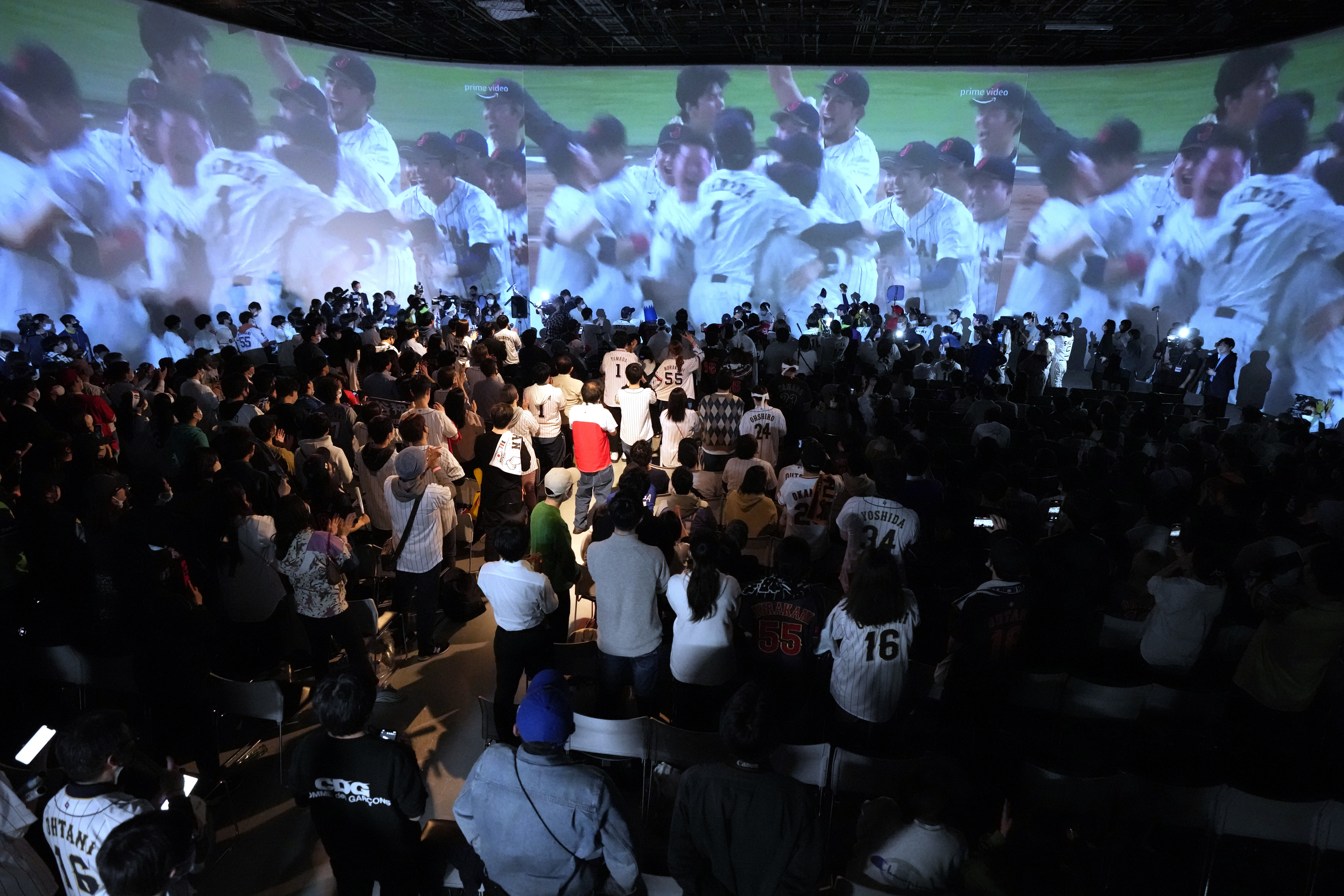 Tatchan' Sees Popularity Soar as Japan Wins Second WBC Game - Rafu Shimpo