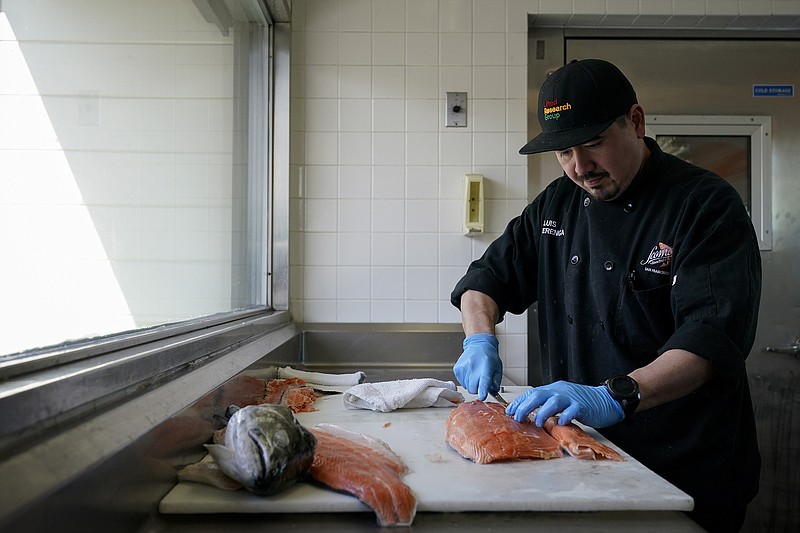 Luis Alvarenga, executive chef at Scoma's, cleans a farm-raised salmon Monday, March 20, 2023, in San Francisco. On April 7, the Pacific Fishery Management Council, the regulatory group that advises federal officials, will take action on what to do about the 2023 season for both commercial and recreational salmon fishing. (AP Photo/Godofredo A. Vásquez)