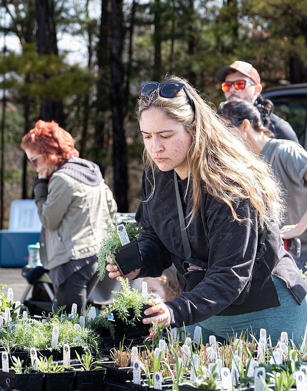 Flowers that 'dance' among the offerings at native plant sale - Vimarsana News