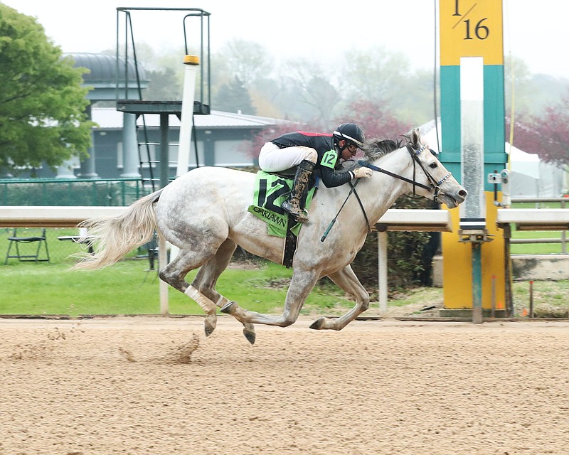 Interlock Empire wins a race March 11 at Oaklawn. Interlock Empire is entered in Saturday's Arkansas Derby. - Photo courtesy of Coady Photography
