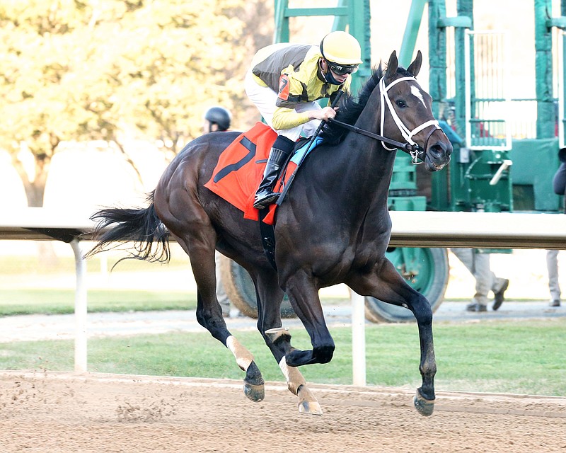 Caddo River wins the Smarty Jones Stakes on Jan. 22, 2021, at Oaklawn. - Photo courtesy of Coady Photography