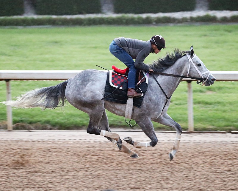 Pretty Birdie works out Saturday at Oaklawn. Pretty Birdie is entered in today's $250,000 Matron Stakes. - Photo courtesy of Coady Photography