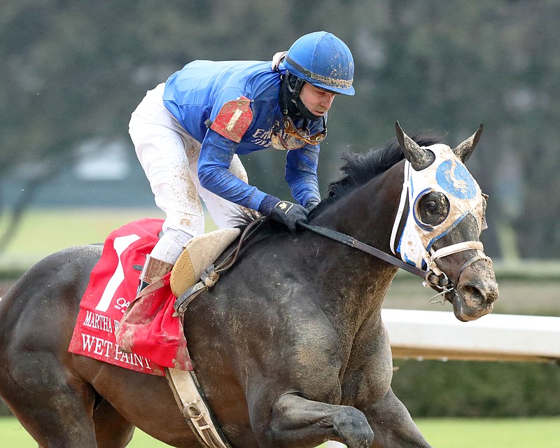 Wet Paint wins the $150,000 Martha Washington Stakes Jan. 28 at Oaklawn. Wet Paint is entered in today's Grade 3 $600,000 Fantasy Stakes. - Photo courtesy of Coady Photography