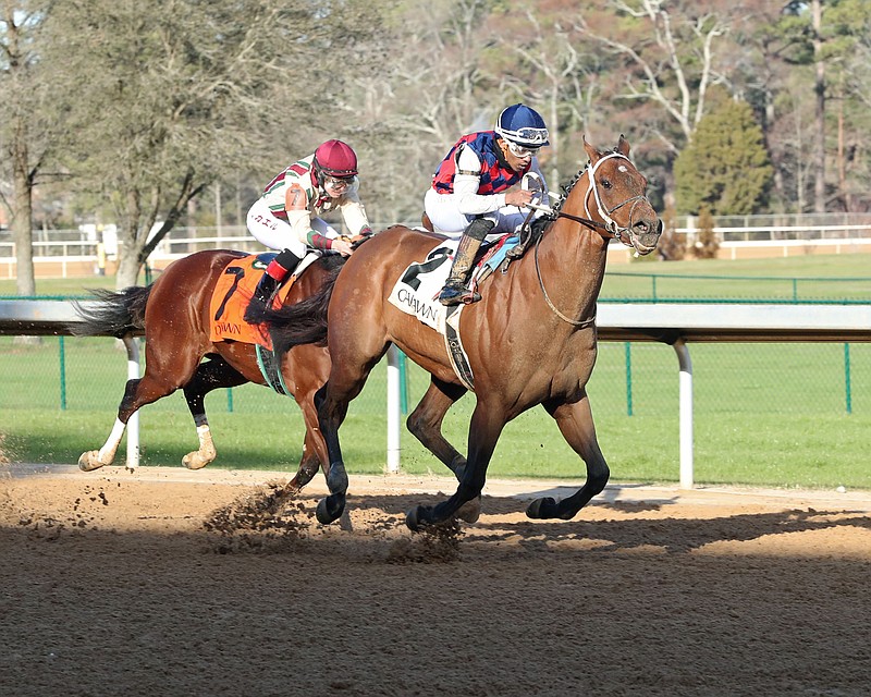 Gun Pilot wins a race Feb. 4 at Oaklawn. Gun Pilot is entered in today's $200,000 Hot Springs Stakes. - Photo courtesy of Coady Photography