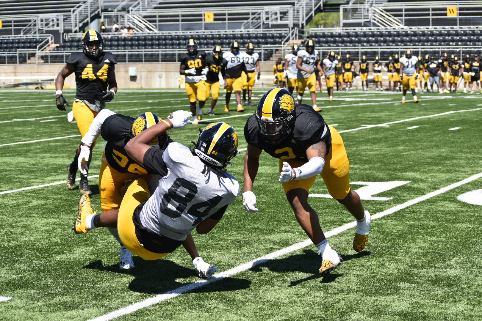 Hampton sees promise in 1st Lions scrimmage