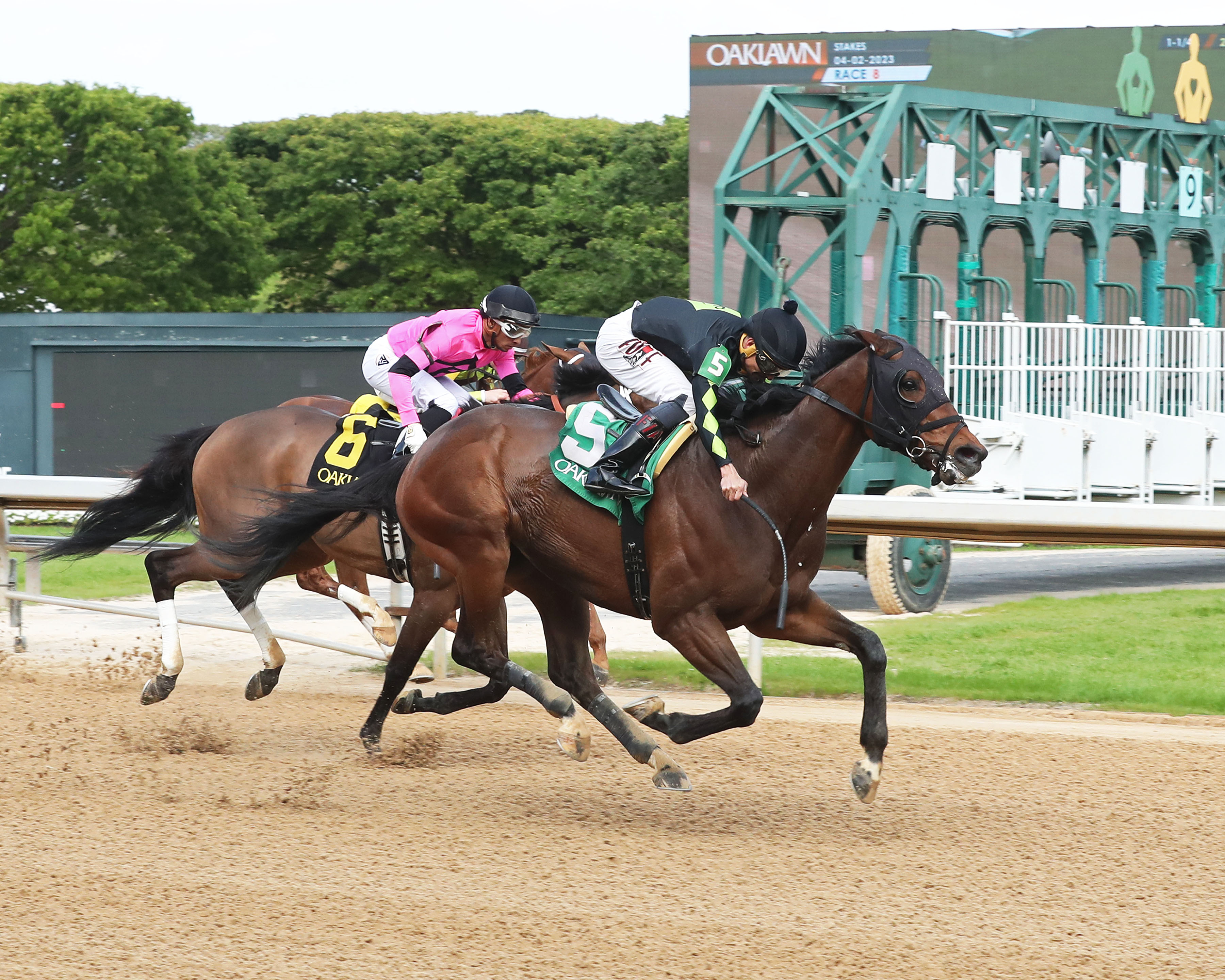 Calibrate trips out as Oaklawn upsetter - Vimarsana News