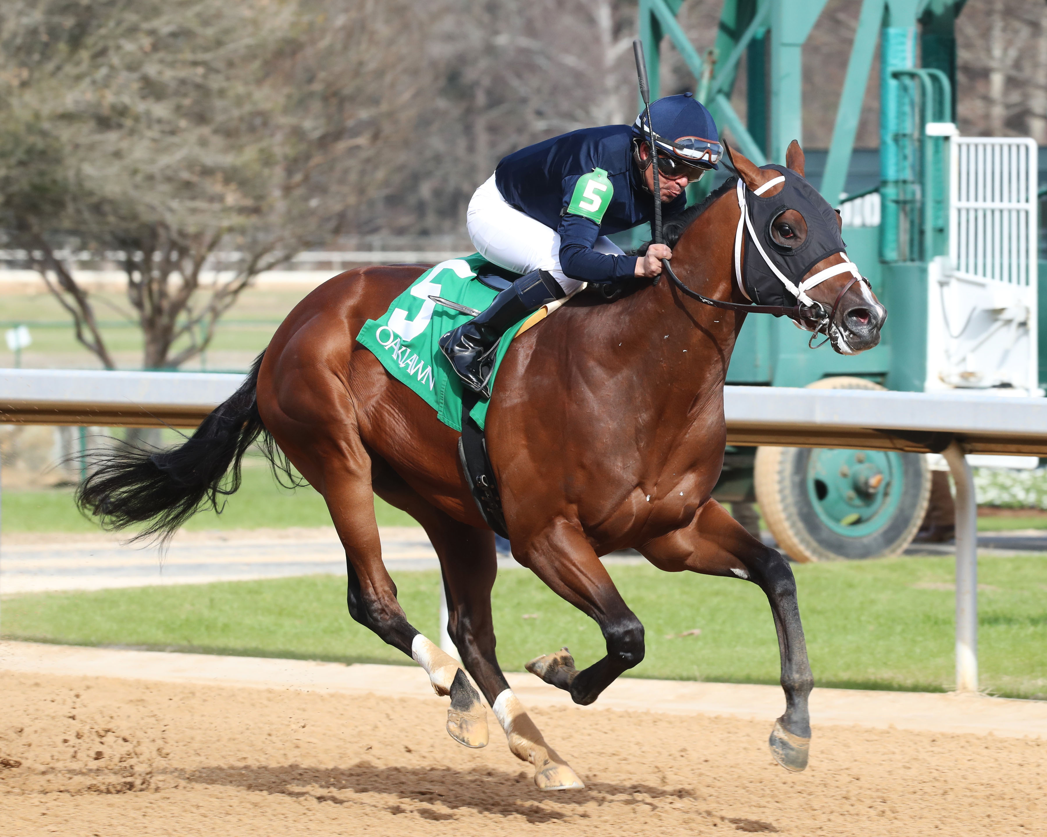 Major Kentucky Derby preps continue across country - Vimarsana News