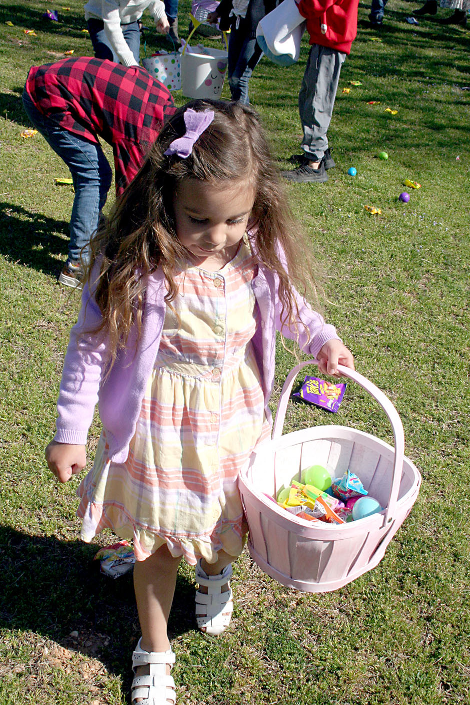 Annual Easter Egg Hunt The Weekly Vista