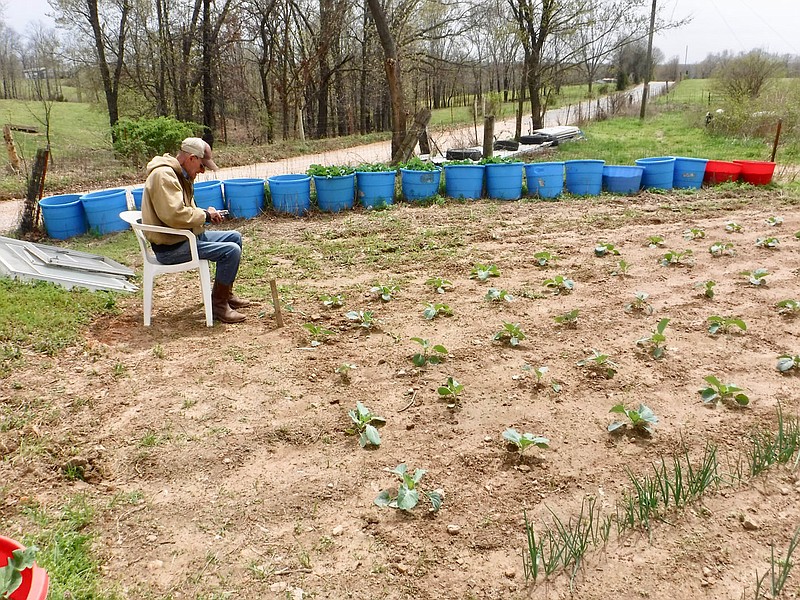 How does your garden grow? Dewell Stewart prepares for Gravette Farmers