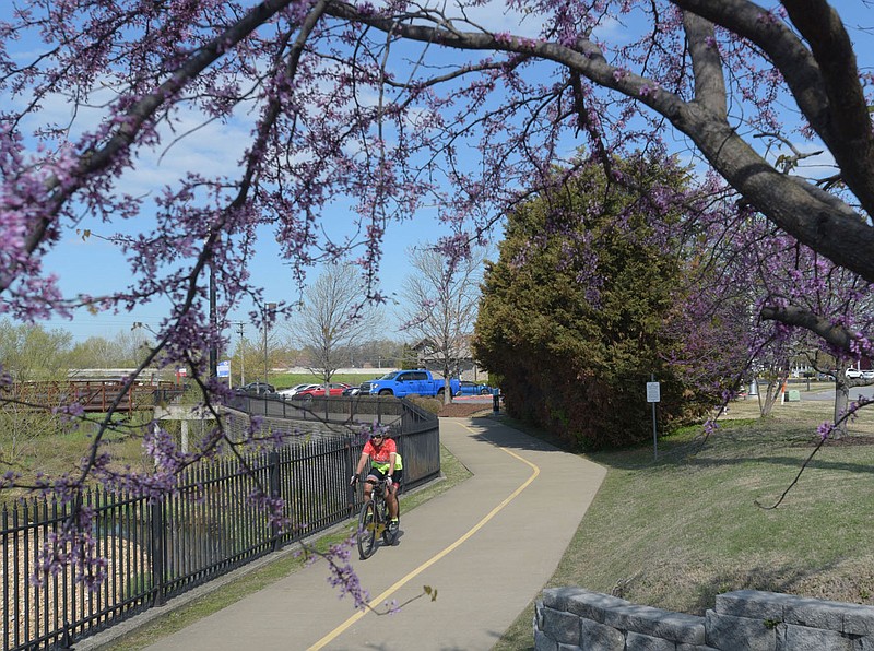 REDBUD RIDE
A rider rolls along the Razorback Greenway on Tuesday April 11 2023 framed by a blooming redbud tree. Redbuds and dogwood trees are blooming across Northwest Arkansas. Go to nwaonline.com/photos for today's photo gallery.
(NWA Democrat-Gazette/Flip Putthoff)