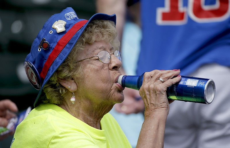FILE - A Chicago Cubs fans drinks a beer before the Cubs' spring training baseball exhibition game against the Los Angeles Dodgers in Mesa, Ariz., Wednesday, March 11, 2015. Thanks to the pitch clock, the action is moving much faster at Major League Baseball games. It also means a little less time for fans to enjoy a frosty adult beverage. (AP Photo/Chris Carlson, File)