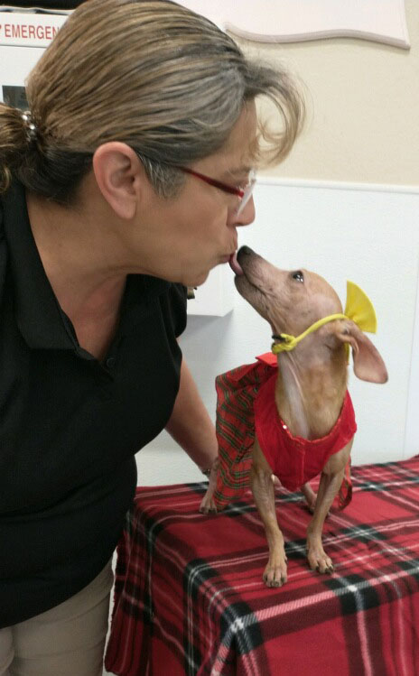 PHOTO | Sweet Savi on Road to Recovery - Vimarsana News
