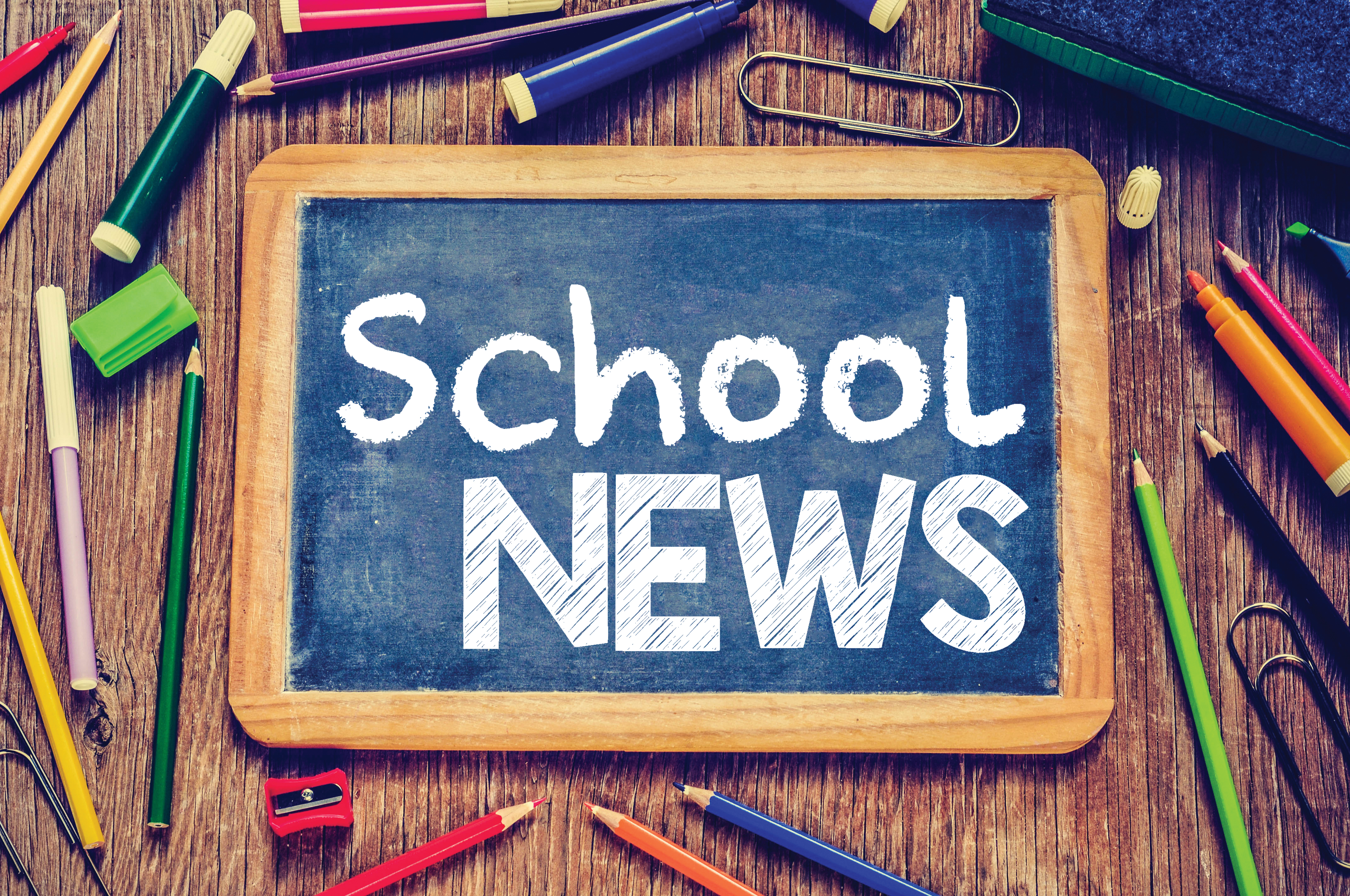 School board election plans finalized; only candidates, superintendents will vote - Vimarsana News