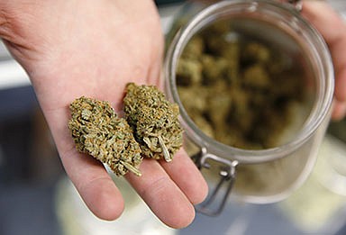 Not all pot strains as strong as outlets claim, study shows - Vimarsana News
