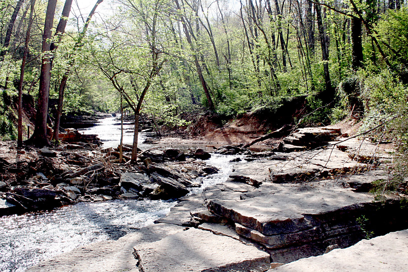 Tanyard Creek still keeping volunteers busy in Bella Vista - Vimarsana News