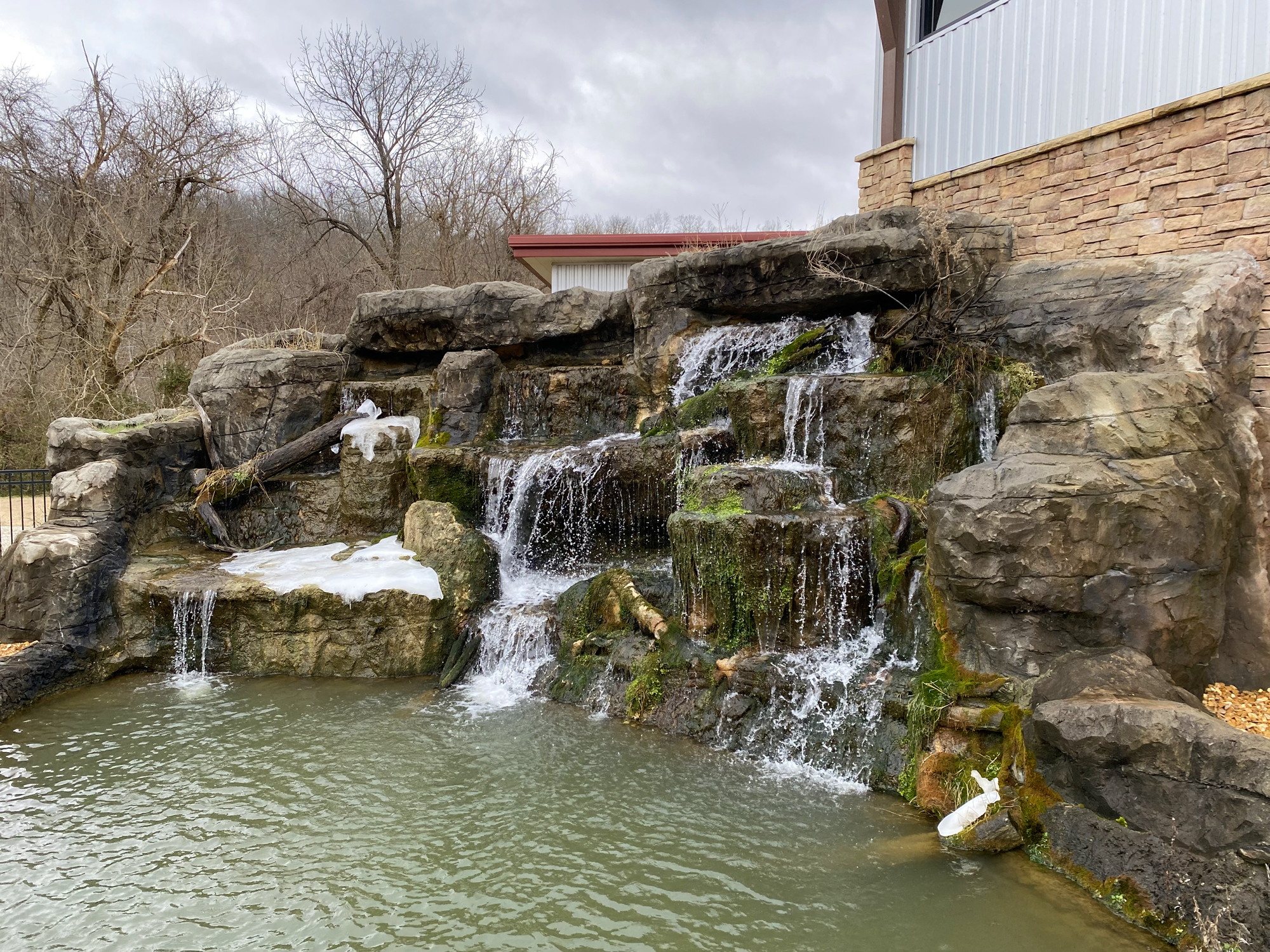 WATCH | Fish hatchery's history, aquariums worth trip to NE Ark. - Vimarsana News