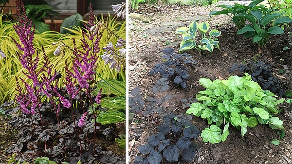 EZ Scape recipes guide gardener to perennial combos for fabulous color - Vimarsana News