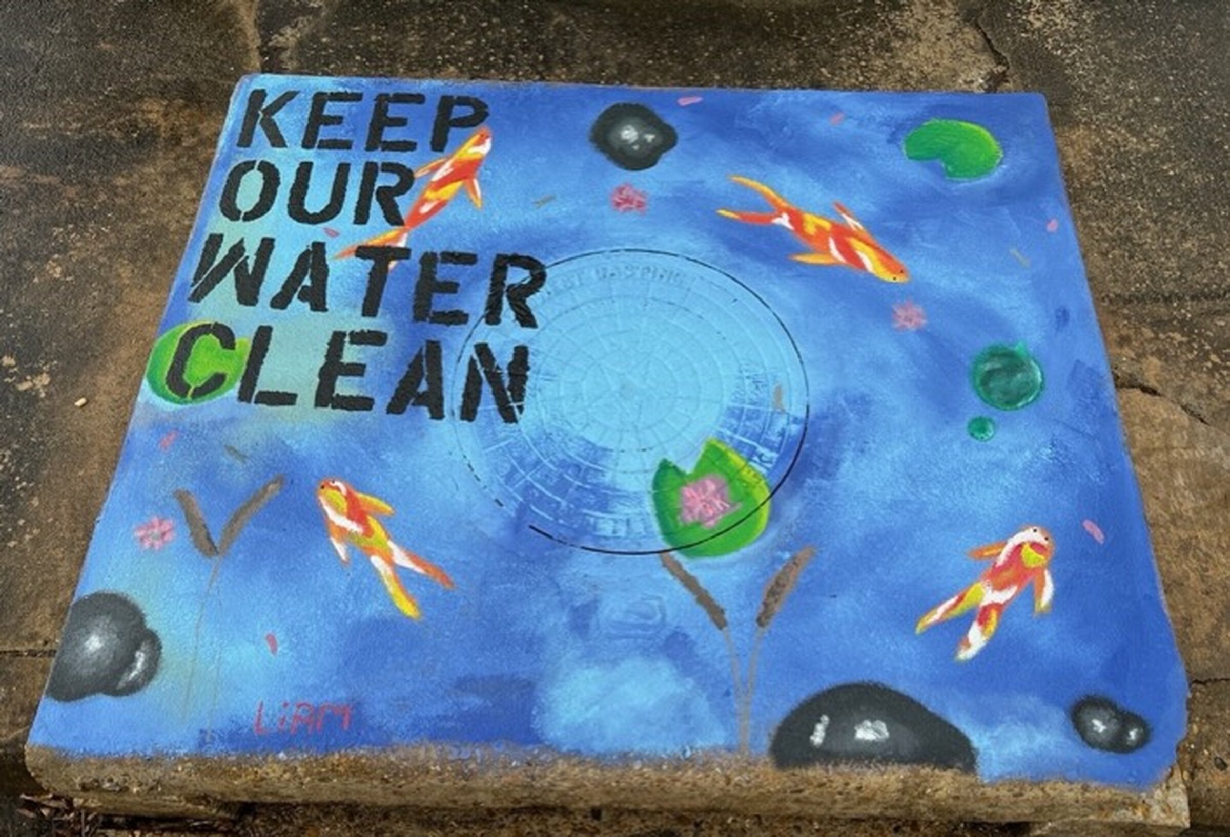 Students’ art, message to adorn storm drains