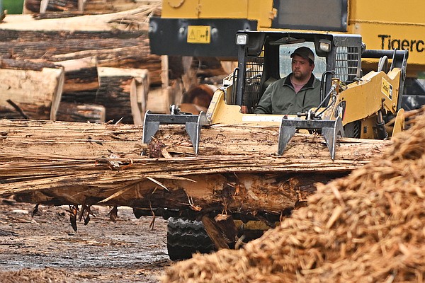Burns Park debris-clearing continues - Vimarsana News