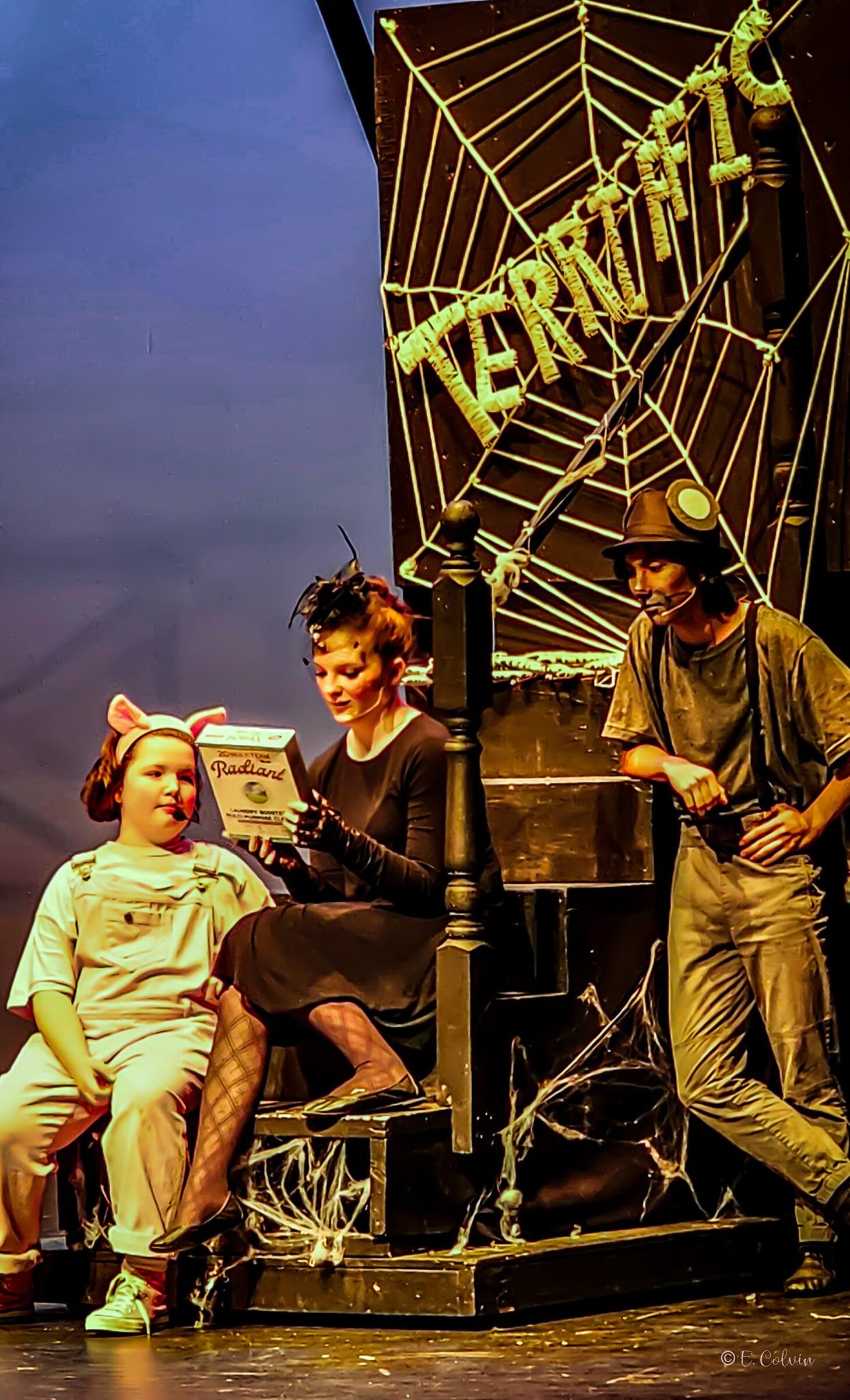 ‘Charlotte’s Web’ charms audience at Arts & Science Center