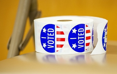 Bowie County school districts, city head to the polls Saturday - Vimarsana News