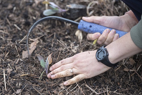 Land trust helps mint new farmers - Vimarsana News