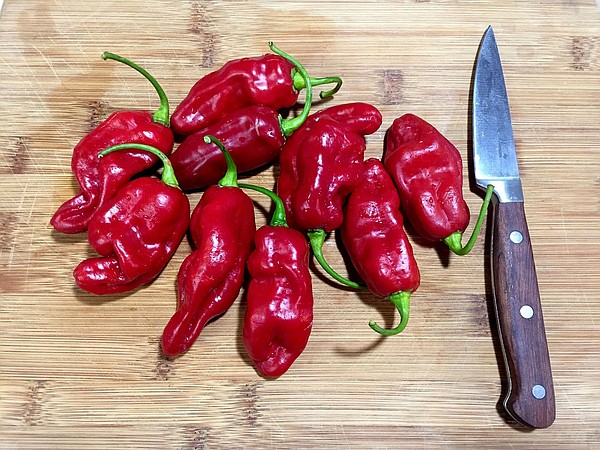 EDITORIAL: Managing The Heat Of Hot Peppers | Westside Eagle Observer