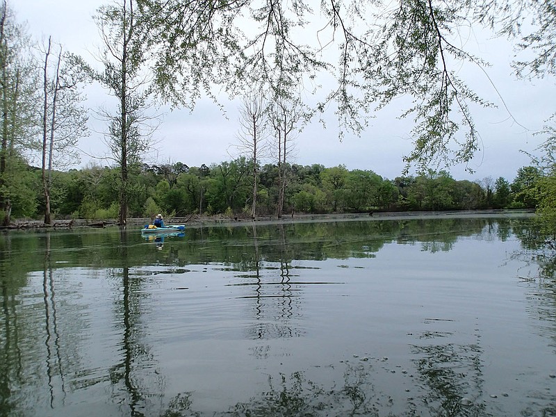 When the water level of Beaver Lake is high, as it is most springs, it creates a unique swamp-like kayaking opportunity along the War Eagle arm of the reservoir. 
(NWA Democrat-Gazette/Flip Putthoff)