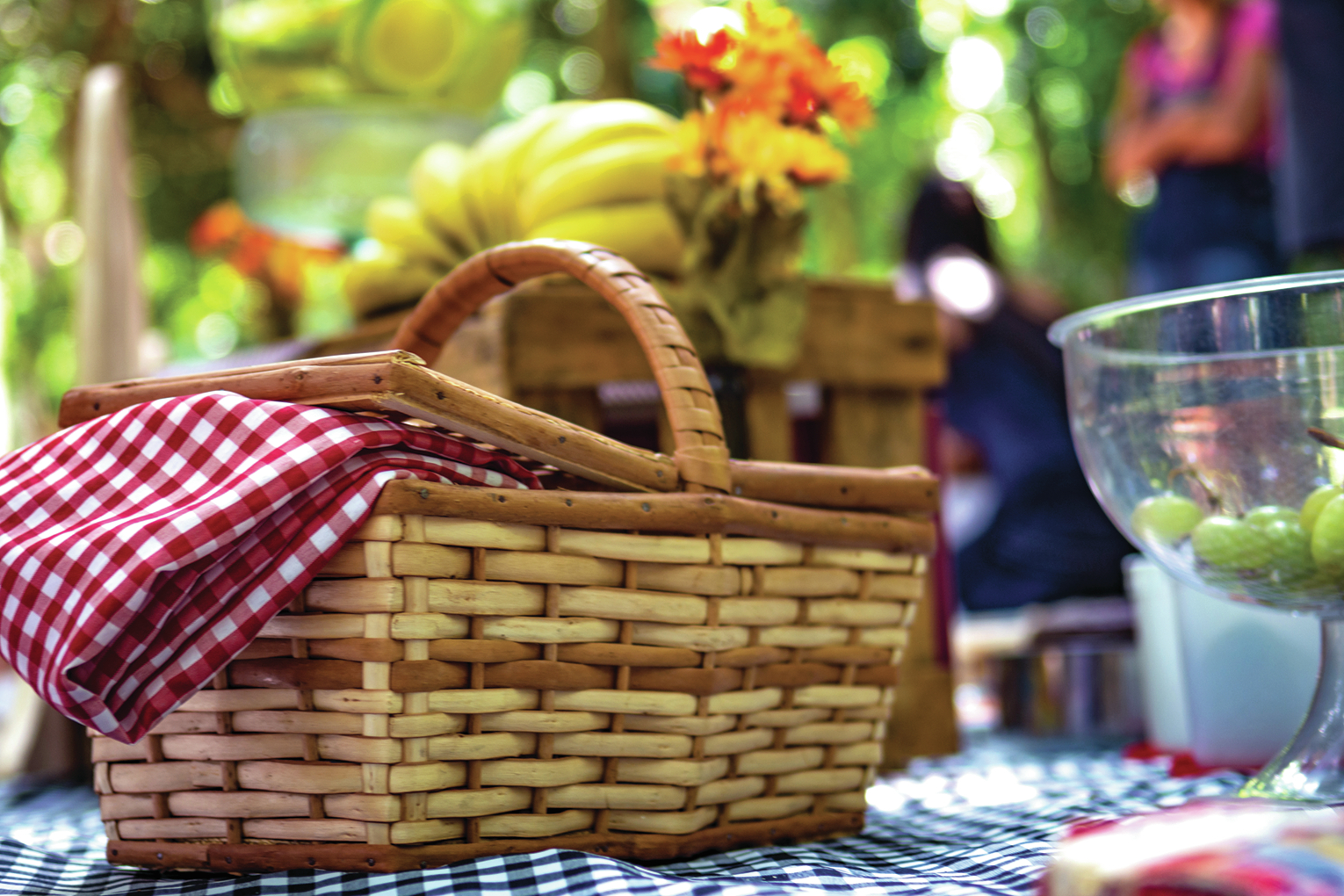 Hospice of Texarkana hosting picnic for veterans - Vimarsana News