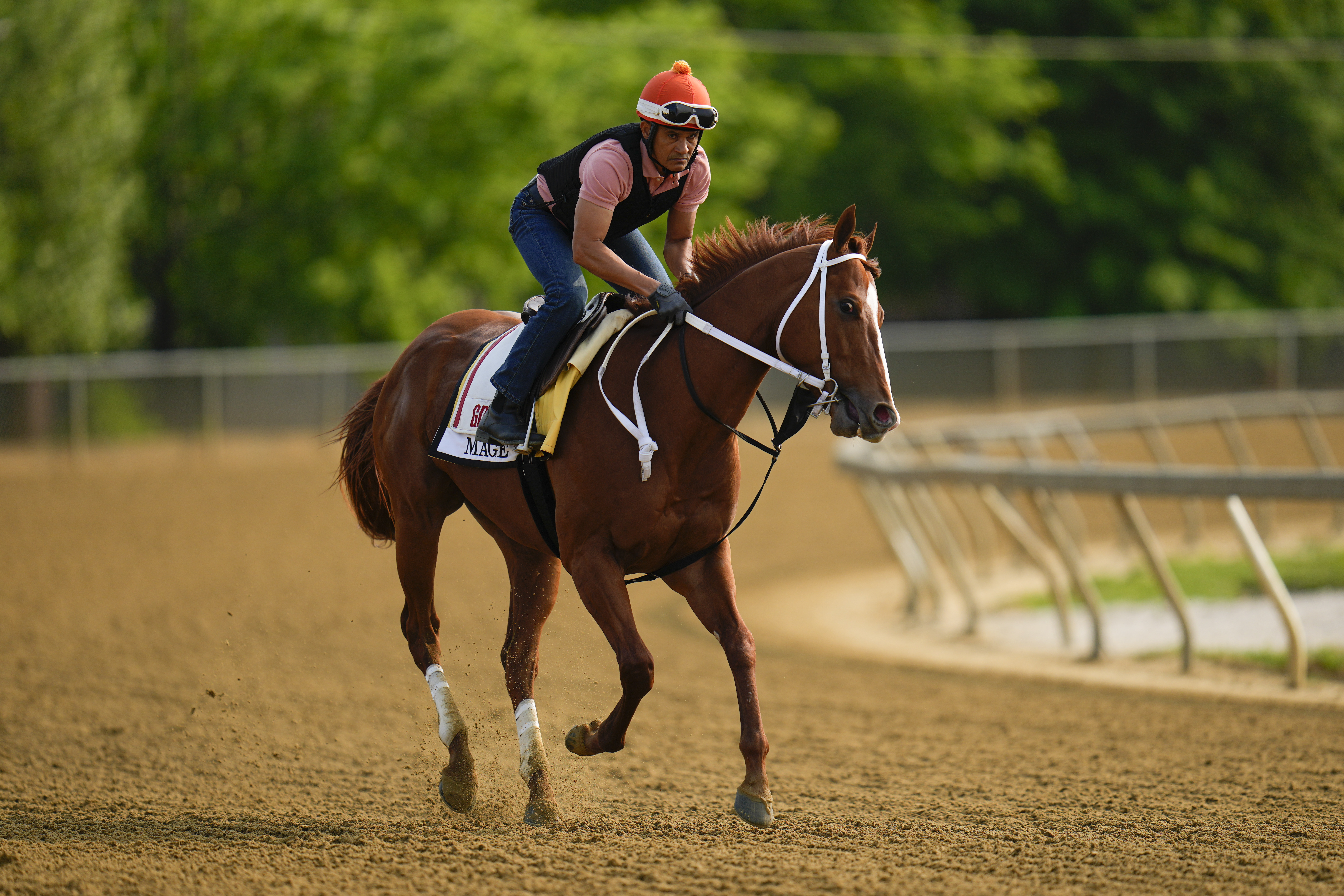 Mage heads to Preakness with hundreds of owners cheering him on - Vimarsana News