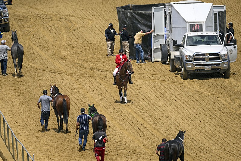 Horses from the Chick Lang Stakes are led off the track as track workers attend to Havnameltdown after the horse suffered a catastrophic ankle injury during the sixth race prior to the 148th running of the Preakness Stakes at Pimlico Race Course Saturday in Baltimore. - Photo by Jerry Jackson of The Baltimore Sun via The Associated Press