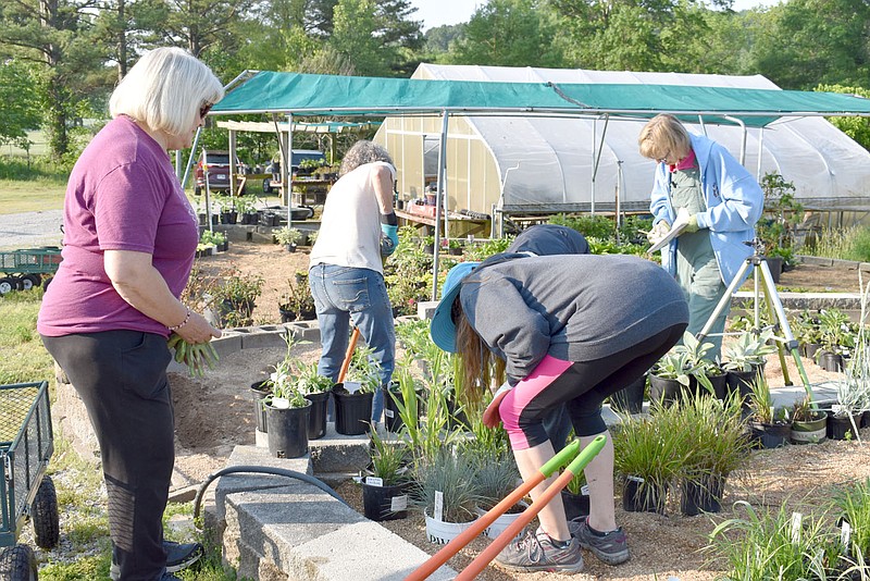 Rachel Dickerson/The Weekly Vista Members of the Bella Vista Garden Club gathered to work at Village Wastewater on Monday, May 22, in preparation for the June 2-3 plant sale.