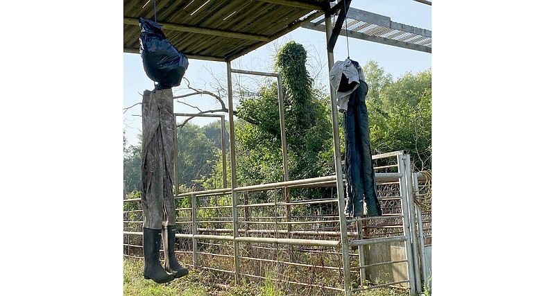 Objects that appear to be effigies hanging from nooses are seen Tuesday morning, May 23, 2023, at an arena on North Runnels Street in DeKalb, Texas. The figures were discovered following a fire that destroyed a concession stand adjacent to the arena. (Photo courtesy of Tish Williams)