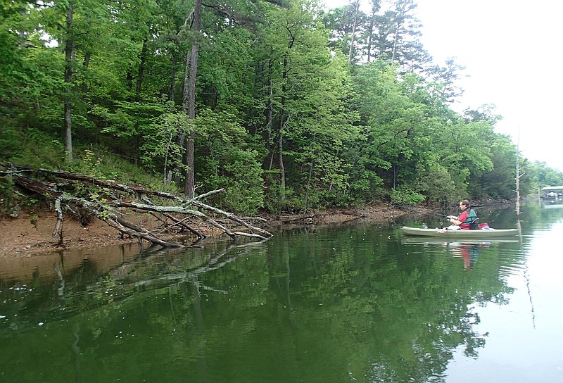 Plan B fishing in Pine Creek Hollow provided a pleasant morning May 12 on Beaver Lake. Alan Bland of Rogers fishes for crappie in the quiet cove. (NWA Democrat-Gazette/Flip Putthoff)